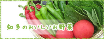 知多のおいしい野菜